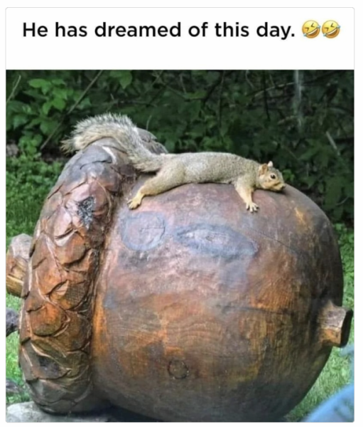 1727777466386.png