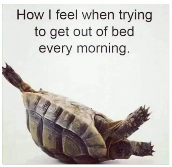 1727777606386.png