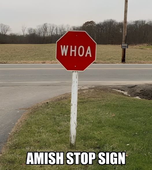 1727984441981.jpeg
