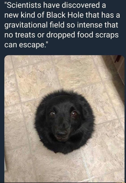 1728264653548.png