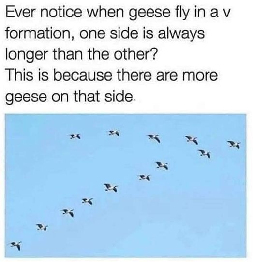 1728557139749.png