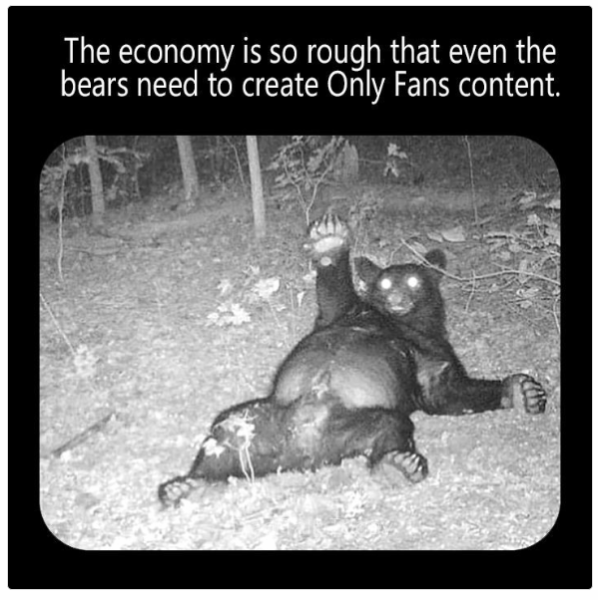 1728735937668.png