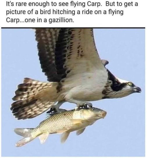 1728861816528.jpeg