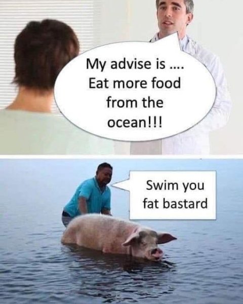 1728862129654.jpeg