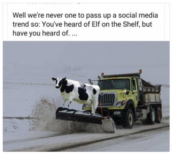 1731241261582.png