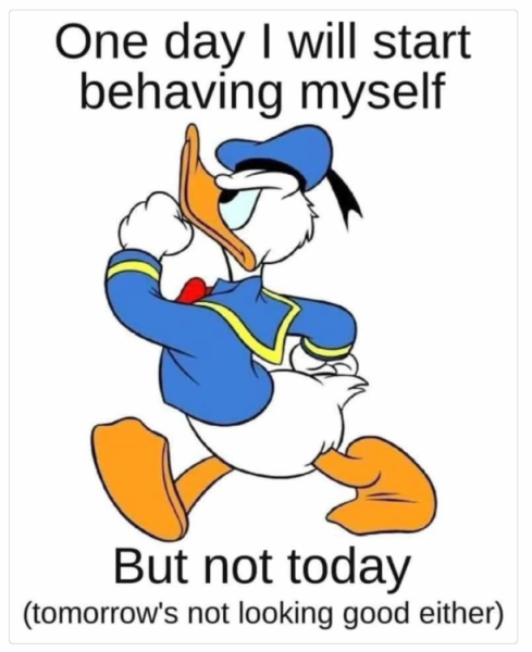 1731410331745.png