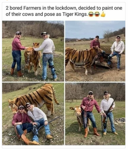 1731495489384.png
