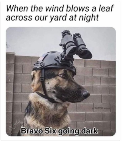 1731672944237.png