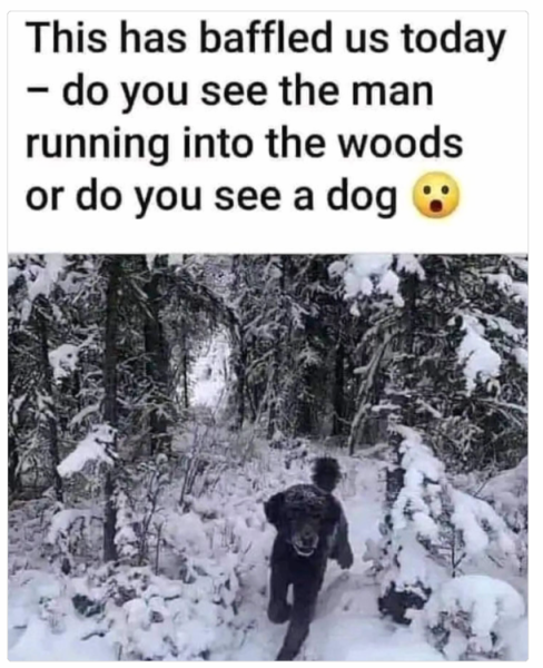 1731846034963.png