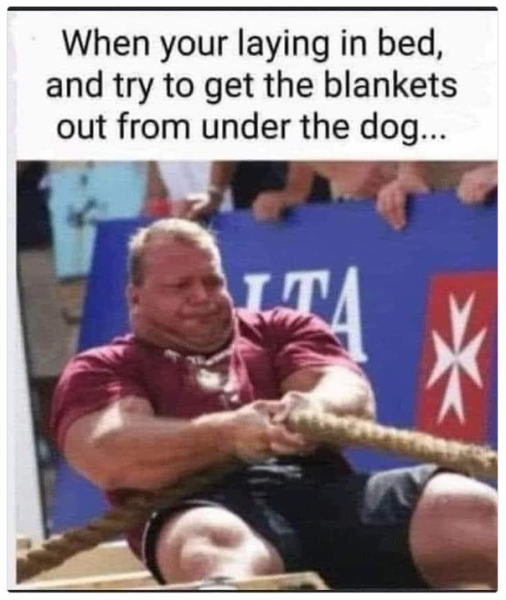 1731846293203.png