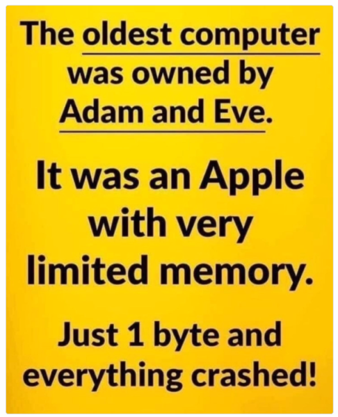 1732013333320.png