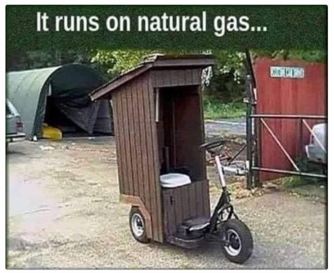 1732099725486.jpeg