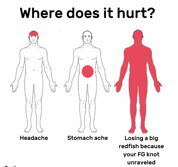 1732189238564.png