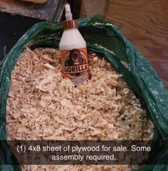 1732242257423.jpeg