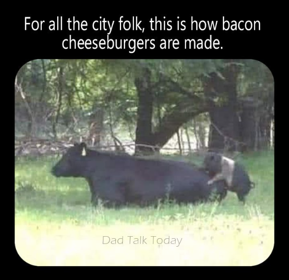 1732703250935.png