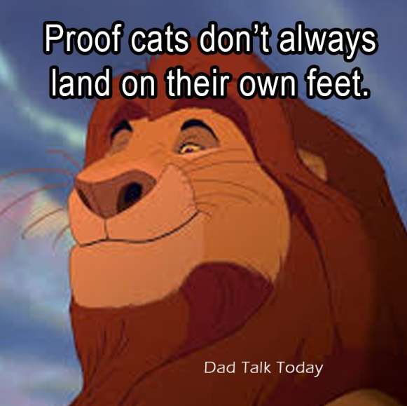 1732788911128.png