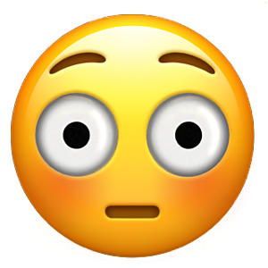 1733082865205.png