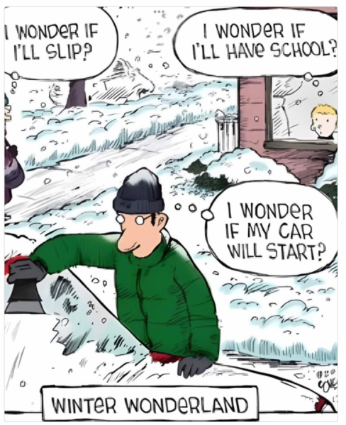1733138067722.png