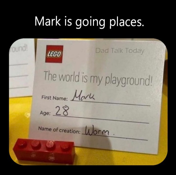 1733230518114.png