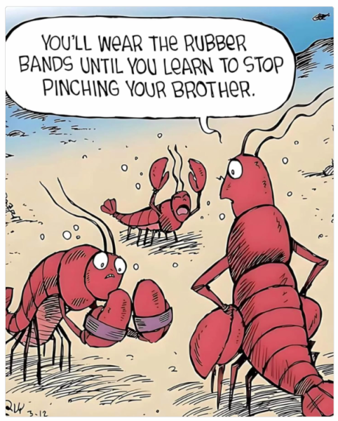 1733395623276.png
