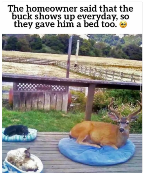 1733402413620.png