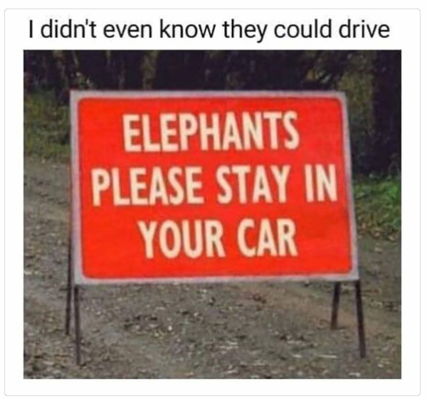 1733402475654.png