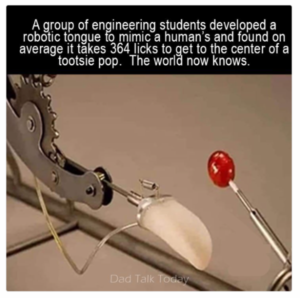1733572762089.png