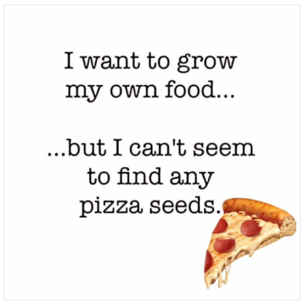 1733917011917.png