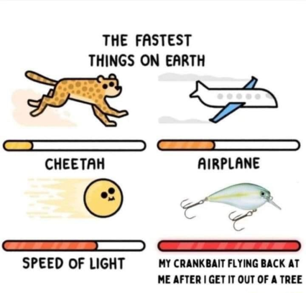 1733924949038.png
