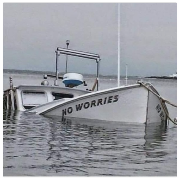 1734100378433.png