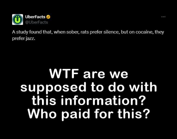 1734192735356.png