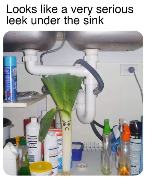 1734261507252.png