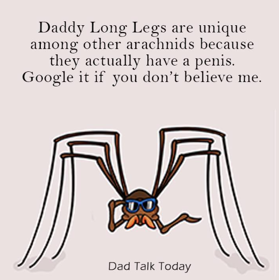 1734269310870.png