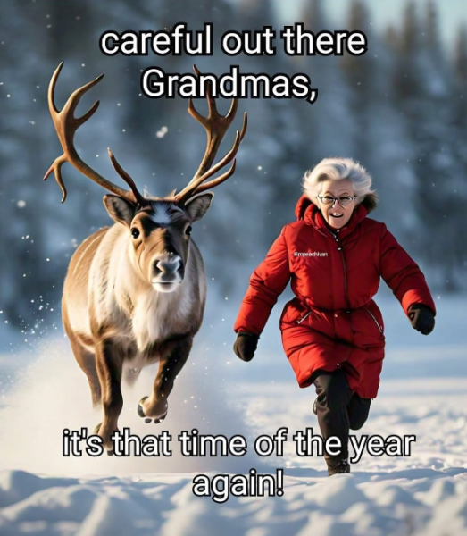 1734610247213.png