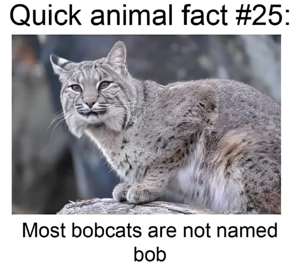 1735298505888.png