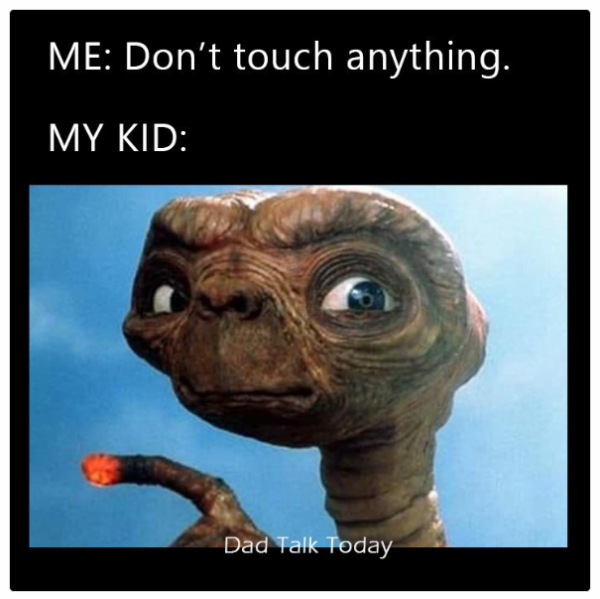 1735391167310.png