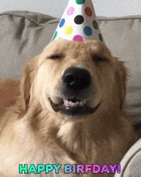 1735521099995.gif
