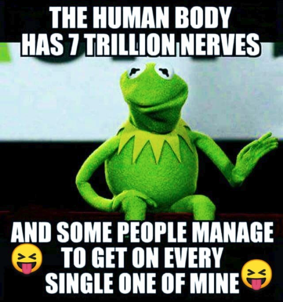 1735702328196.png