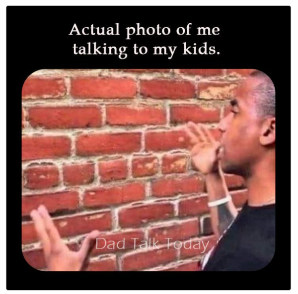 1736076559533.png