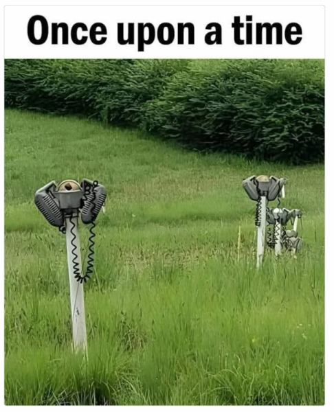 1736163589153.png