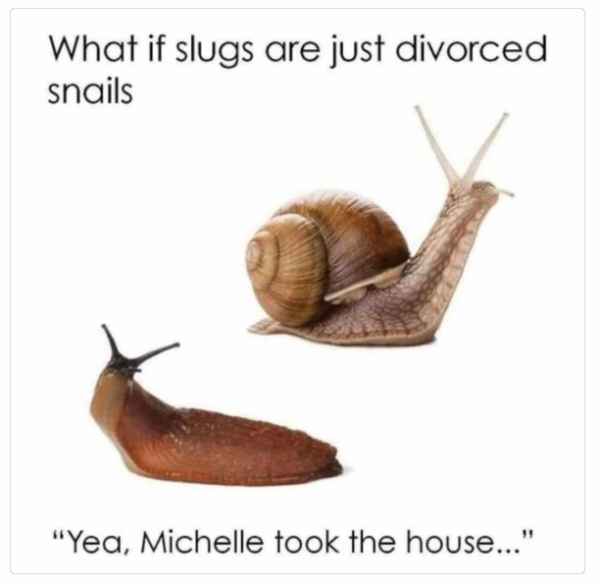 1736431112645.png