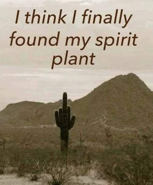 1736508917603.png