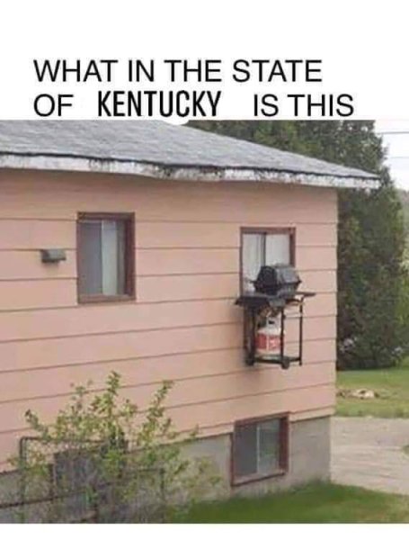 1736998816438.jpeg