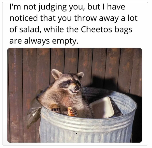 1737027981831.png