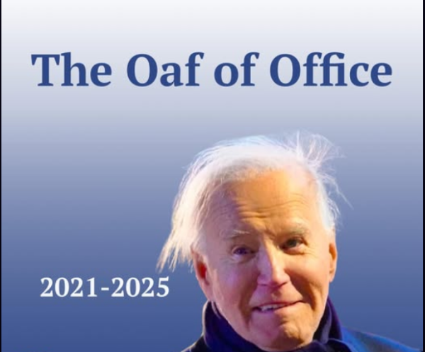 1737163298491.png