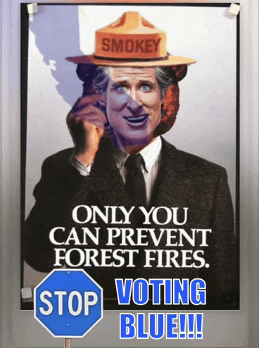 1737206846473.png