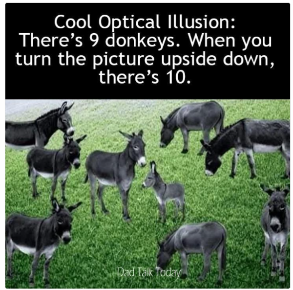 1737376642658.png