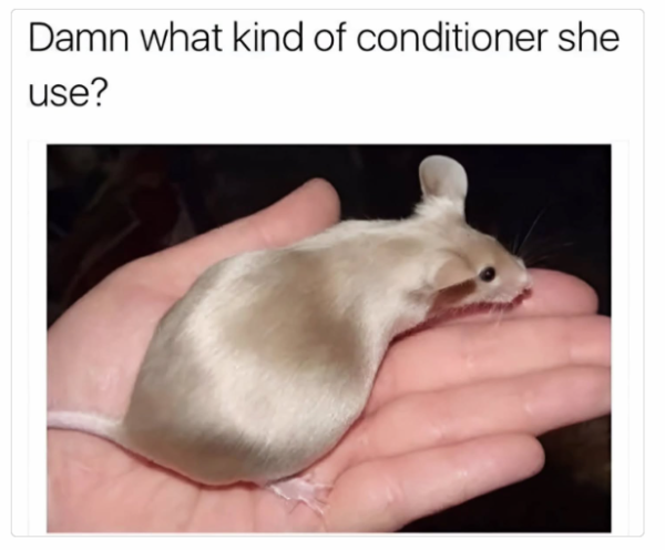 1737464218584.png