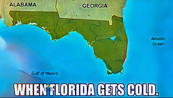 1737633623025.png