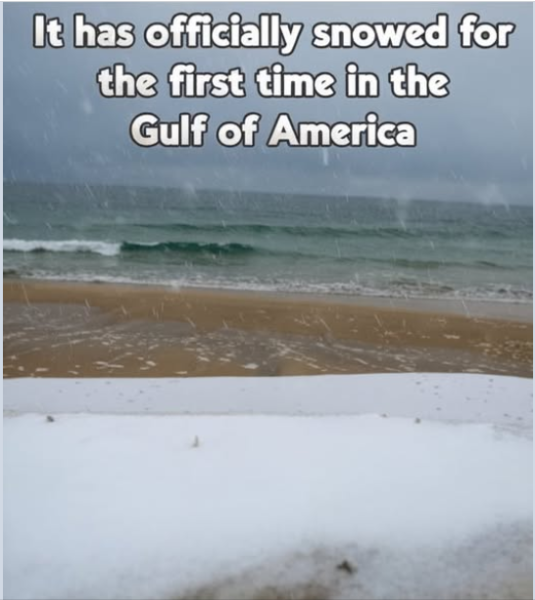 1737670407668.png